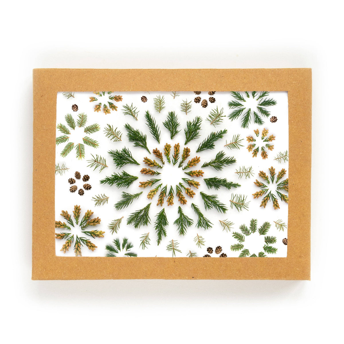 Bottle Branch - Card set - Evergreen Stars