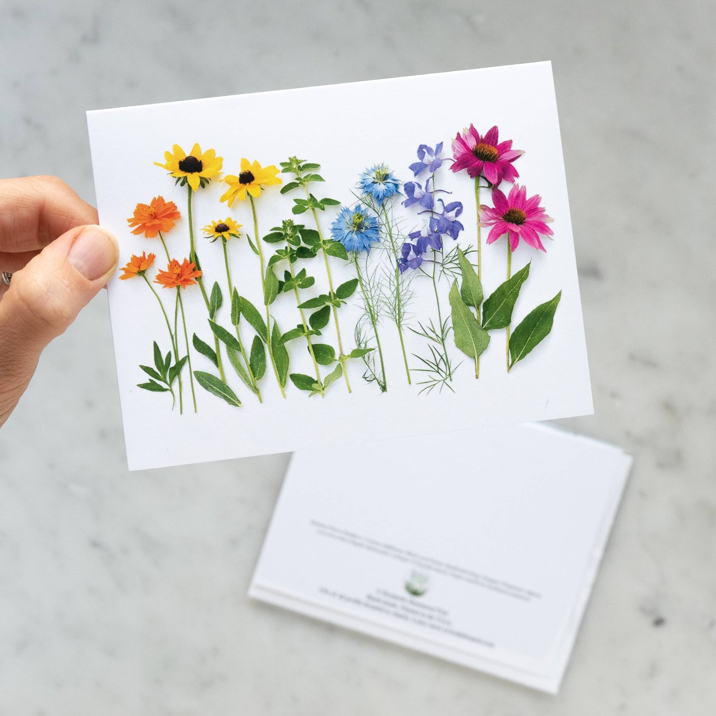 Bottle Branch - Card - Rainbow with coneflower