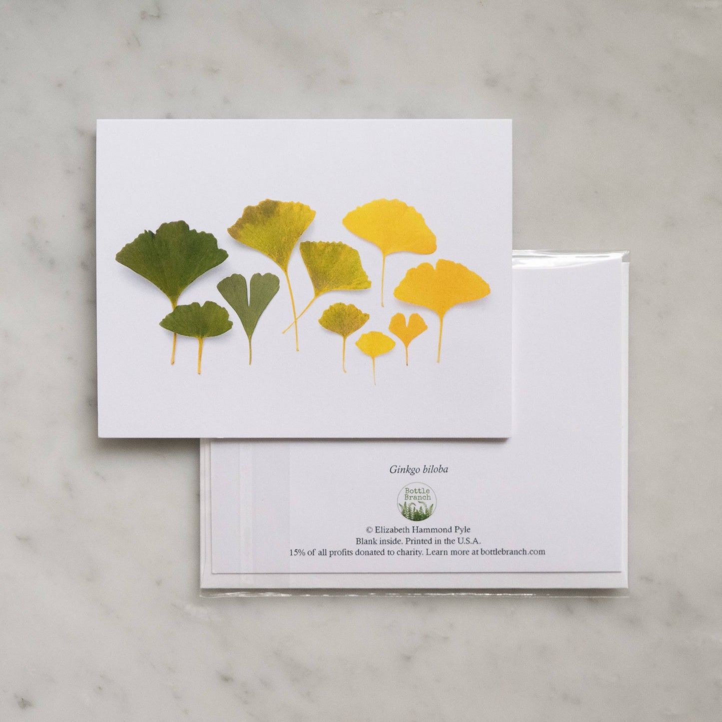Bottle Branch - Card - Ginkgo Leaf ombre card