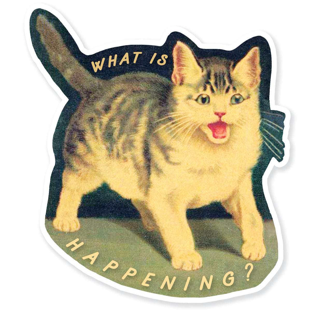 A Zillion Dollars - What is Happening Sticker: Screaming Vintage Cat