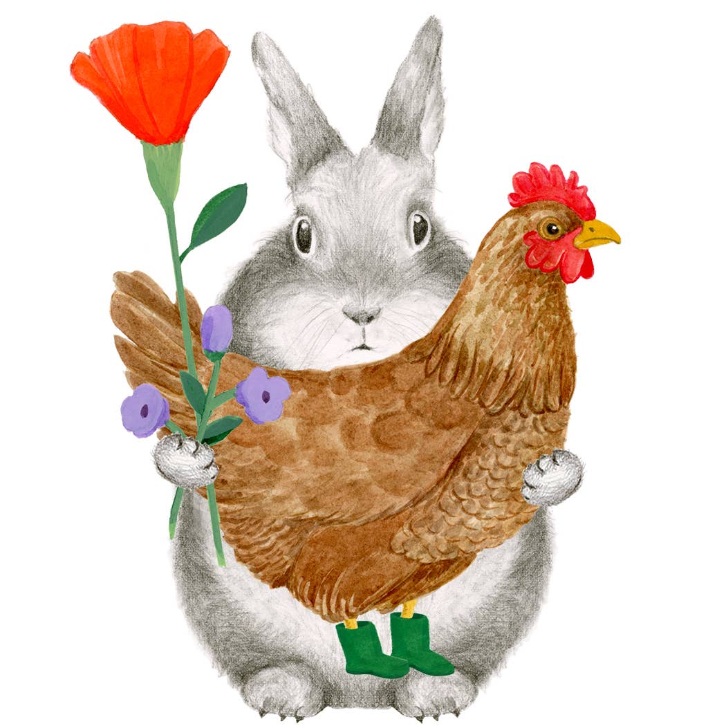 Dear Hancock - Still a Spring Chicken