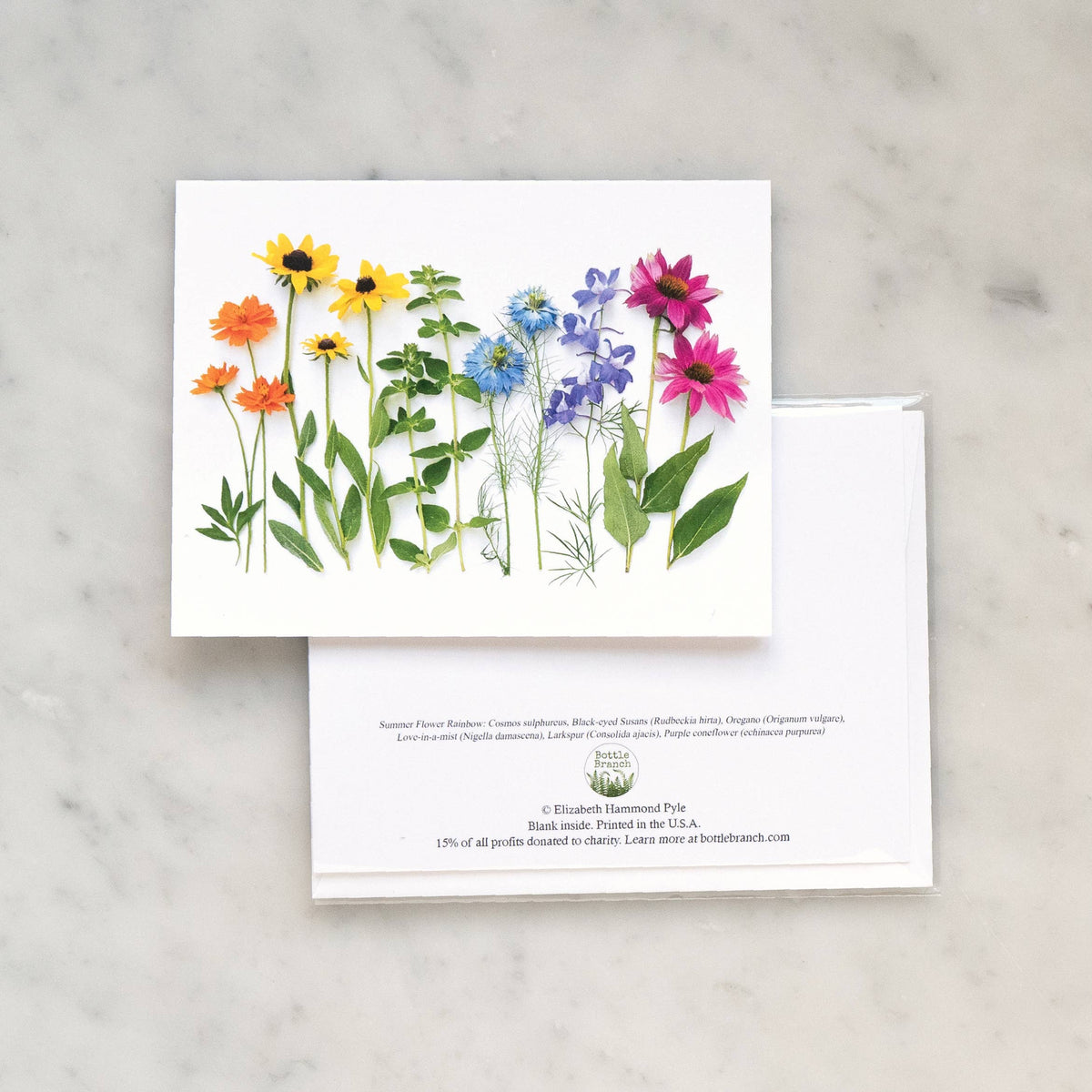 Bottle Branch - Card - Rainbow with coneflower