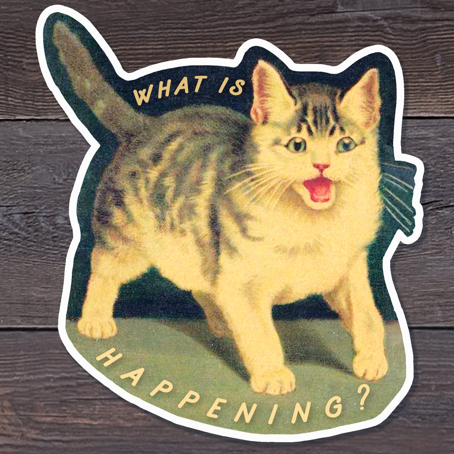 A Zillion Dollars - What is Happening Sticker: Screaming Vintage Cat