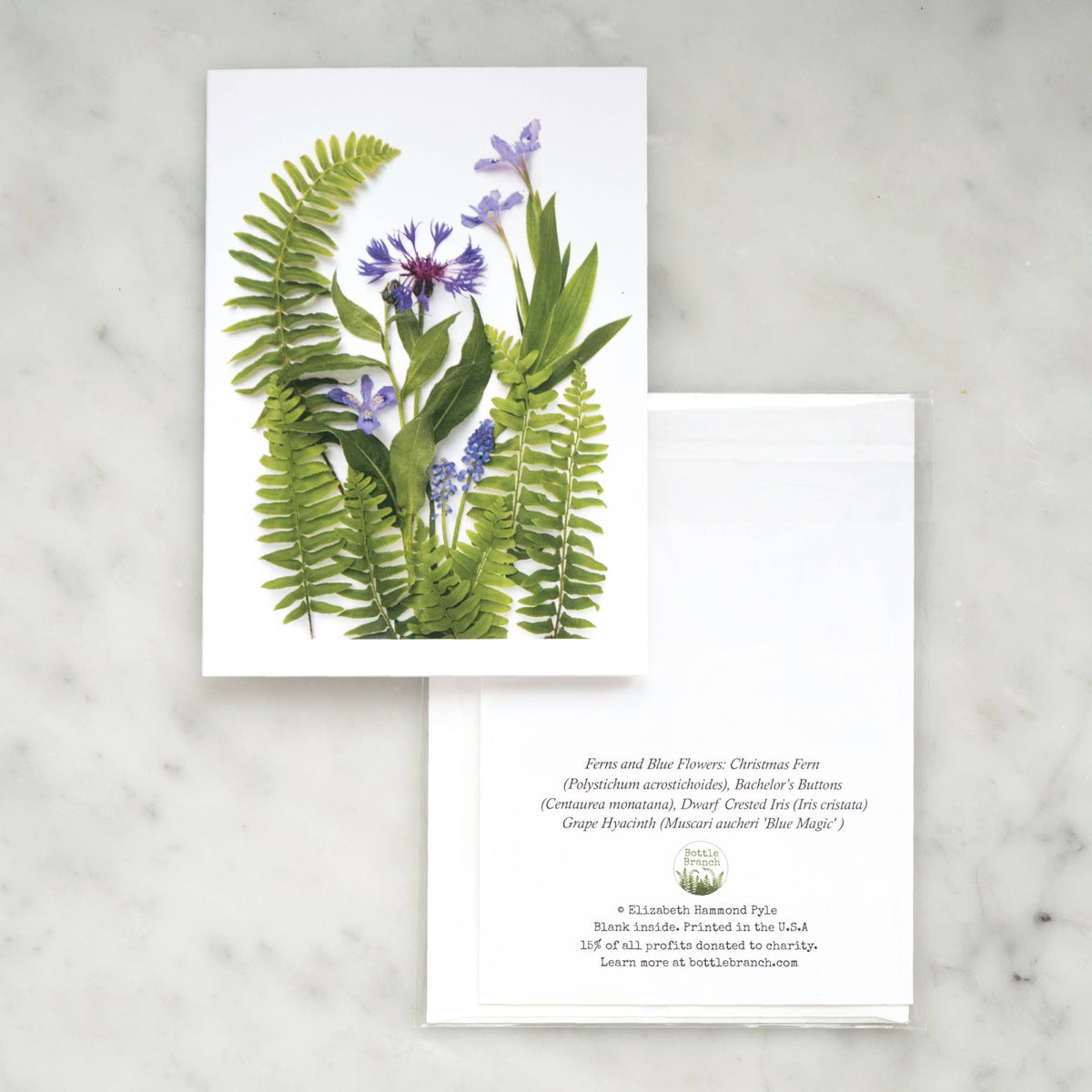 Bottle Branch - Card - Ferns and blue flowers card