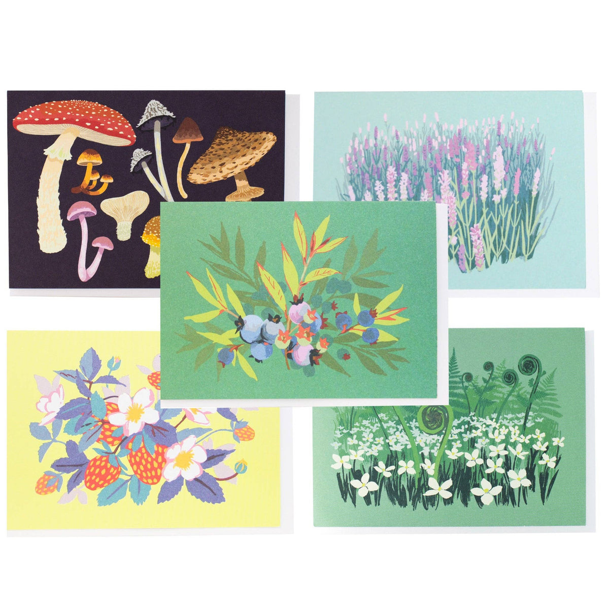 Smudge Ink - Foraging Note Card Set