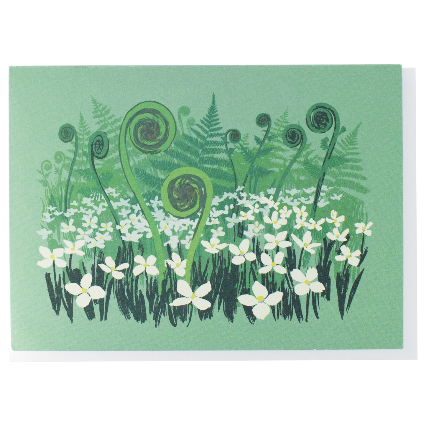Smudge Ink - Foraging Note Card Set