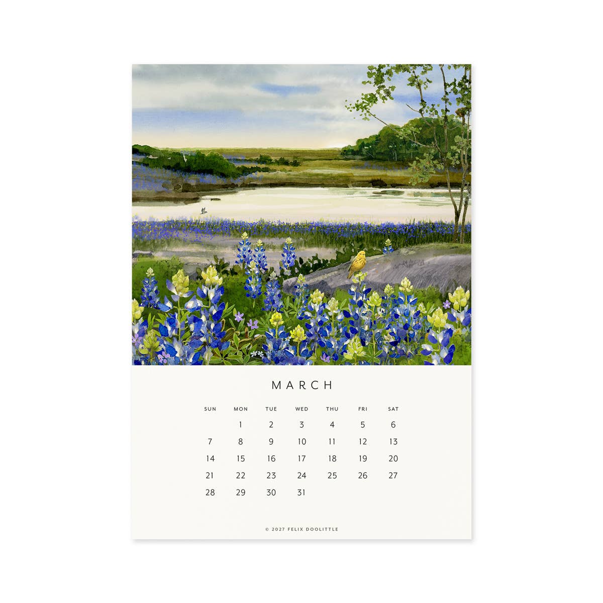 Felix Doolittle - 2027 Desk Calendar - Drawn to Nature