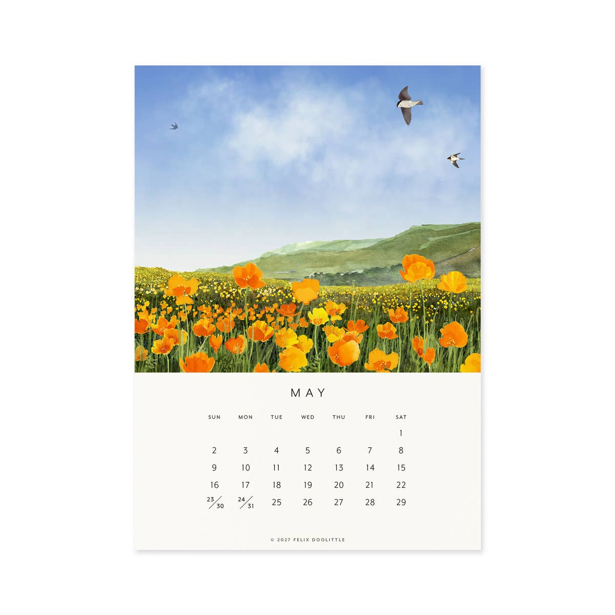 Felix Doolittle - 2027 Desk Calendar - Drawn to Nature