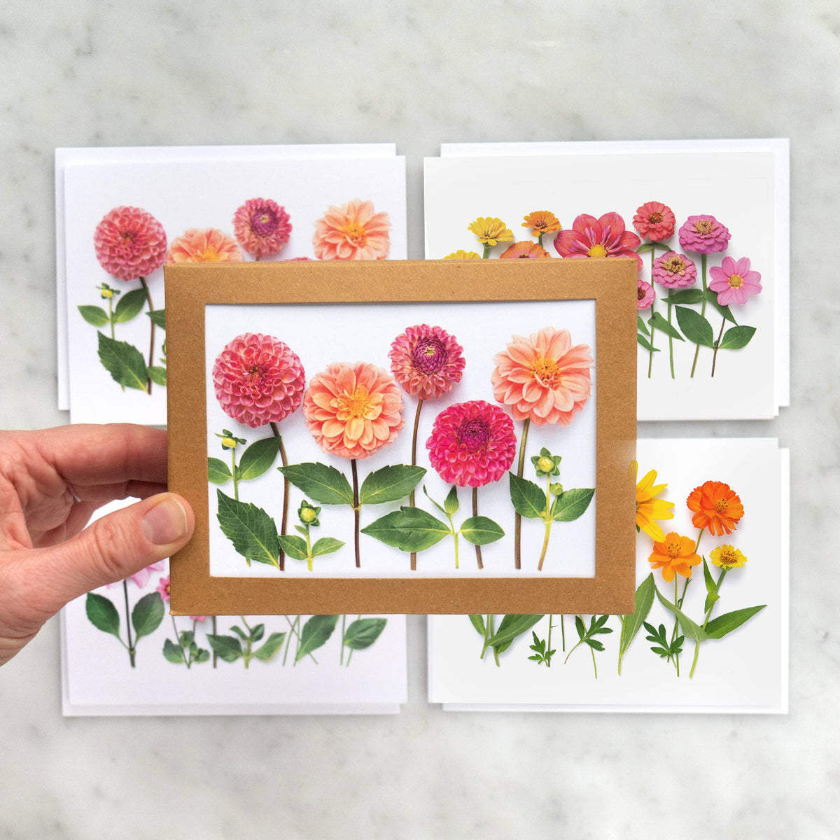 Bottle Branch - Dahlias Floral Card Set – Botanical A2 Cards (8-Pack)