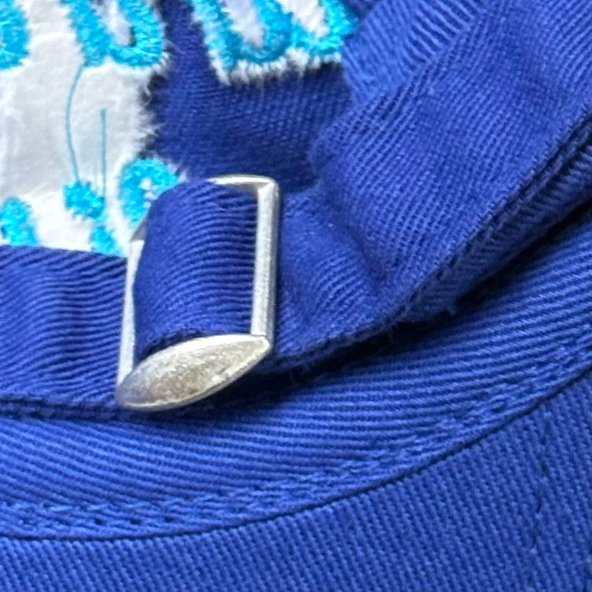 The Silver Spider - Tinned Fish foodie Baseball Cap Dad Hat