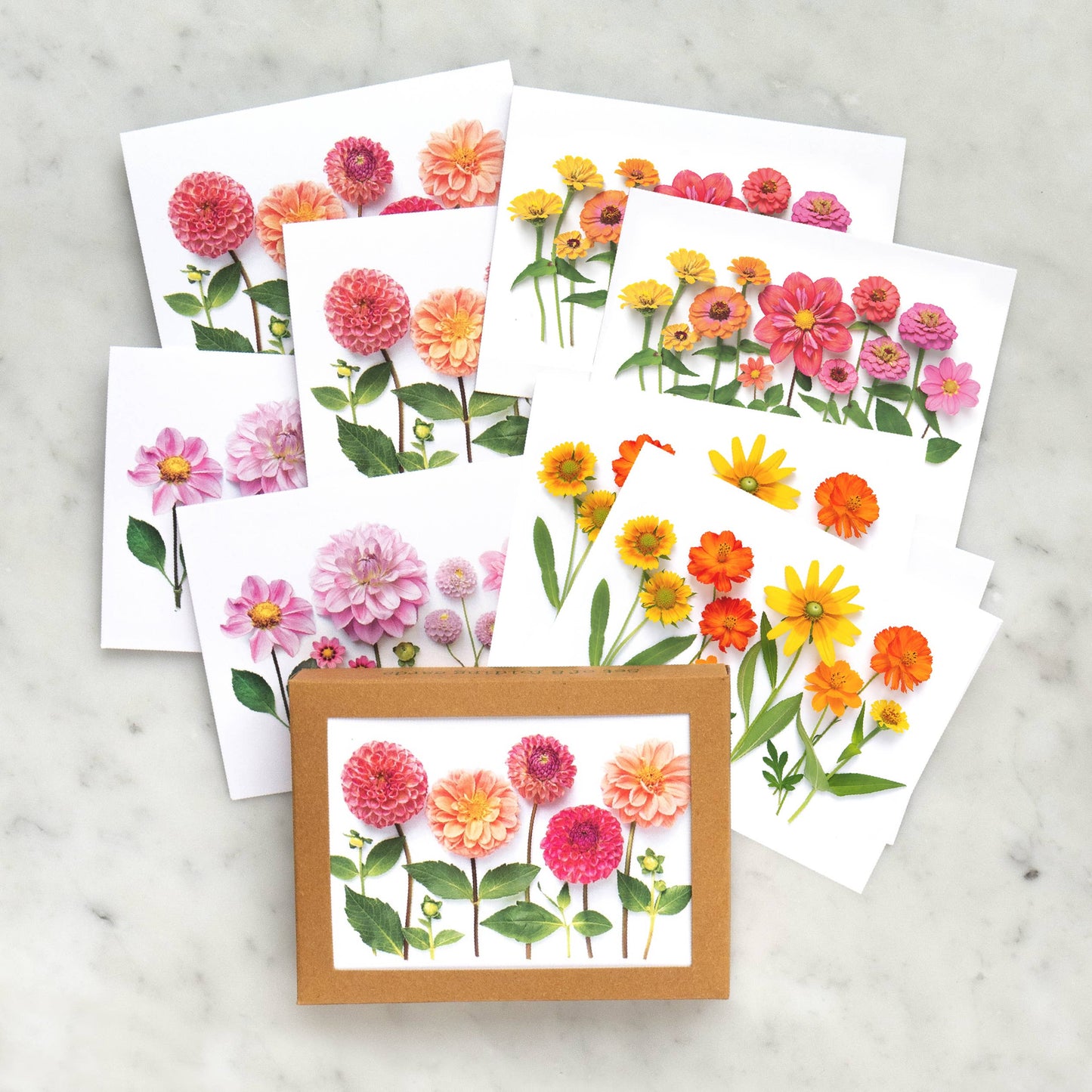 Bottle Branch - Dahlias Floral Card Set – Botanical A2 Cards (8-Pack)