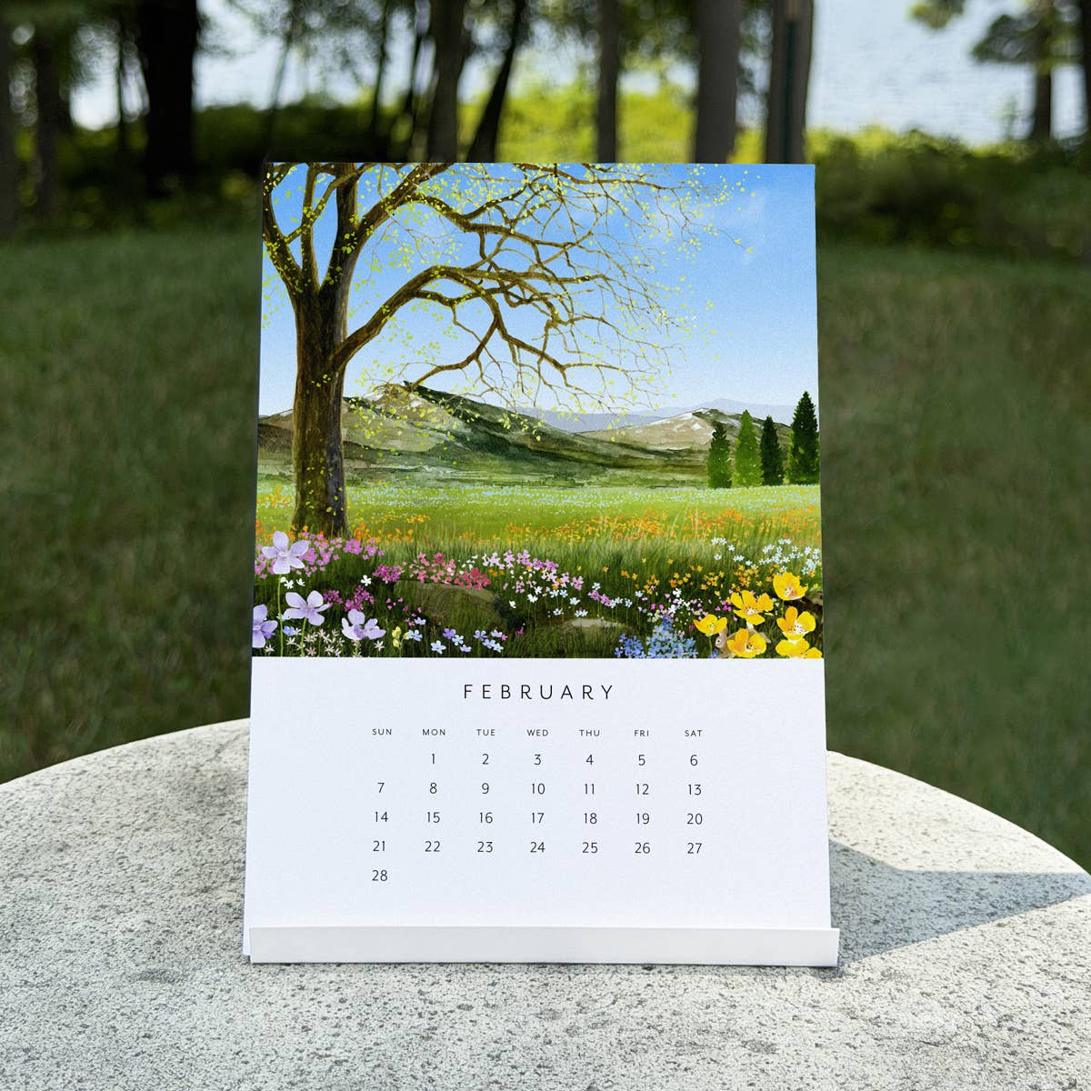 Felix Doolittle - 2027 Desk Calendar - Drawn to Nature