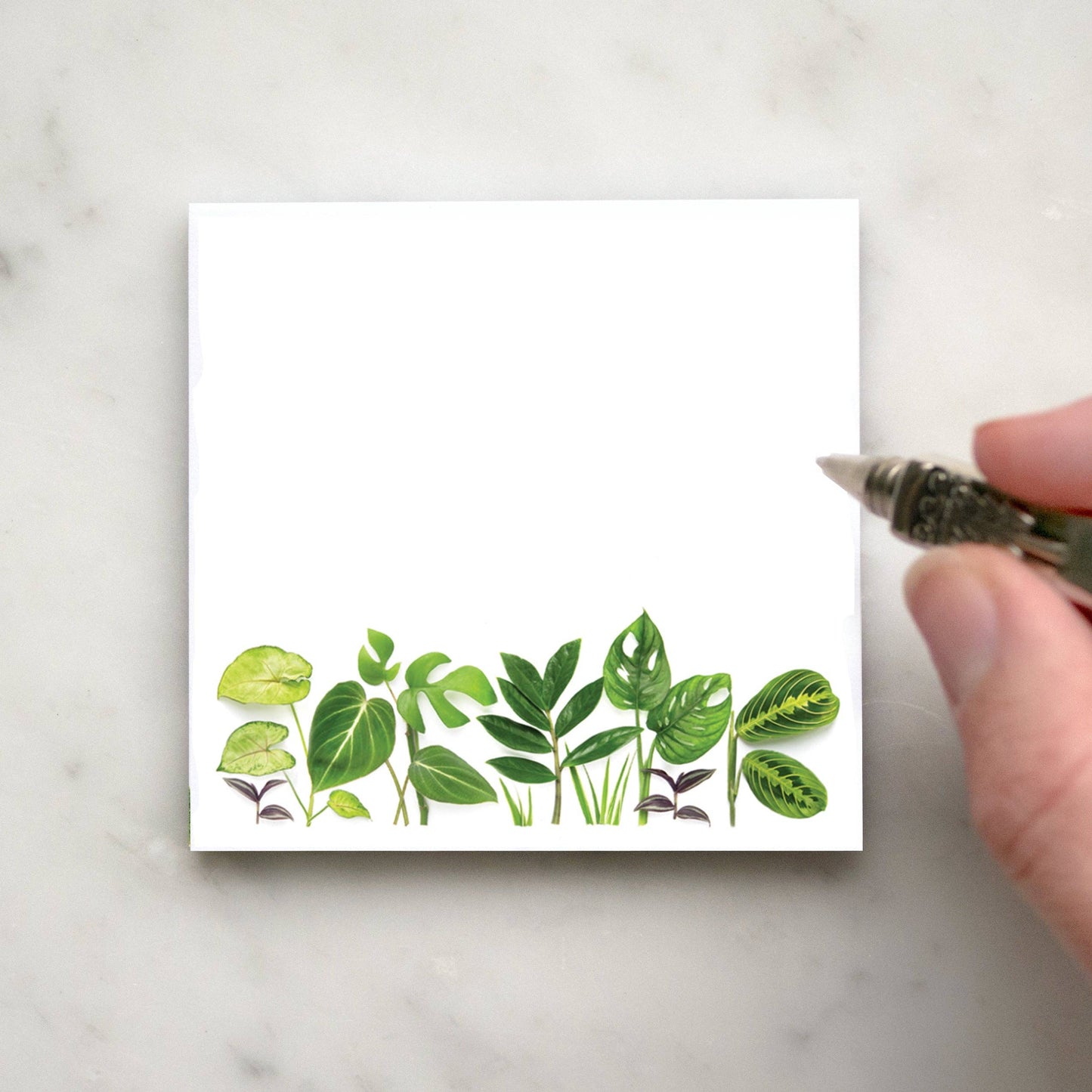 Bottle Branch - Sticky notes - Houseplants
