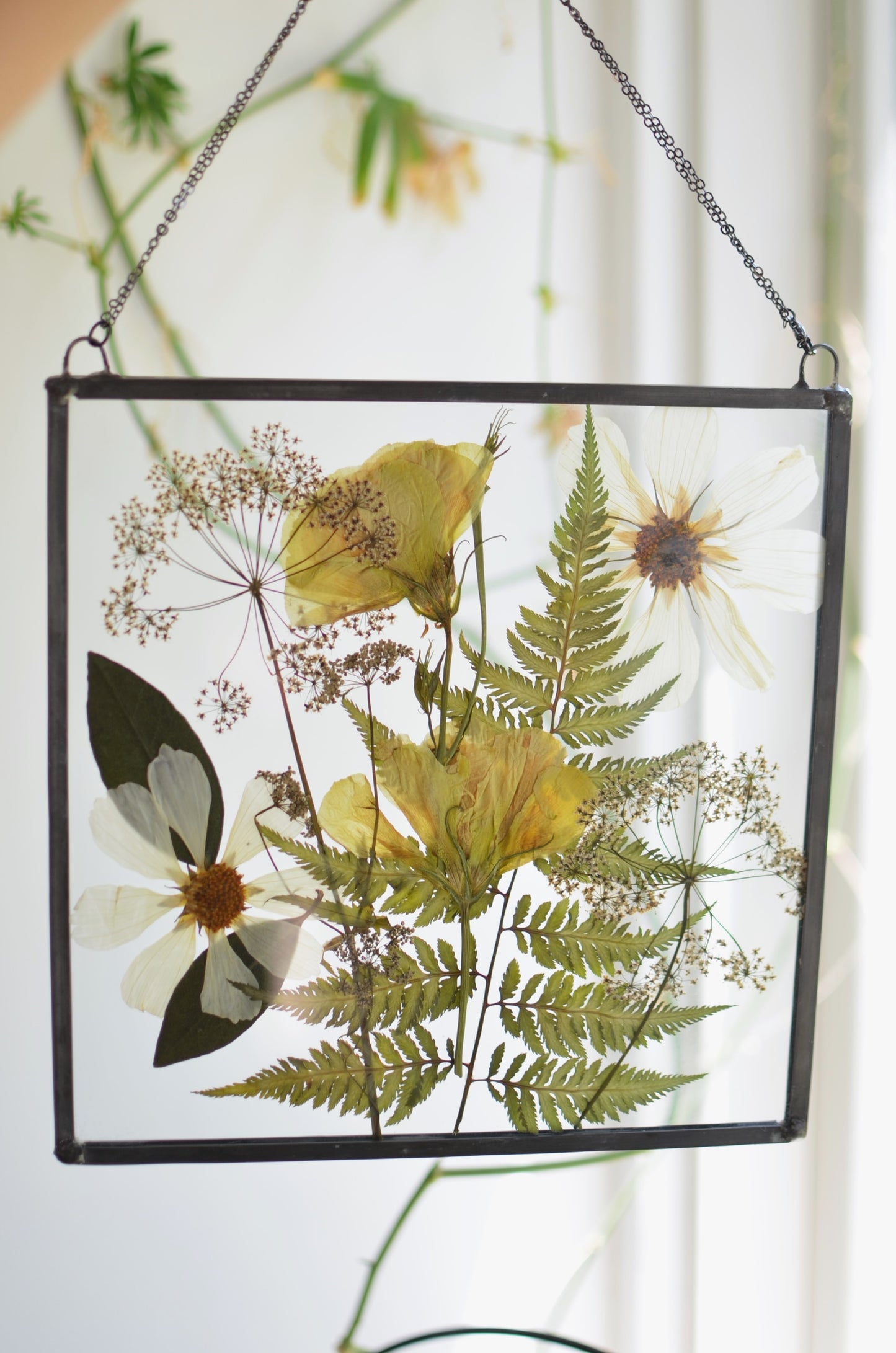 EAFS - Pressed flower glass frame SQAURE