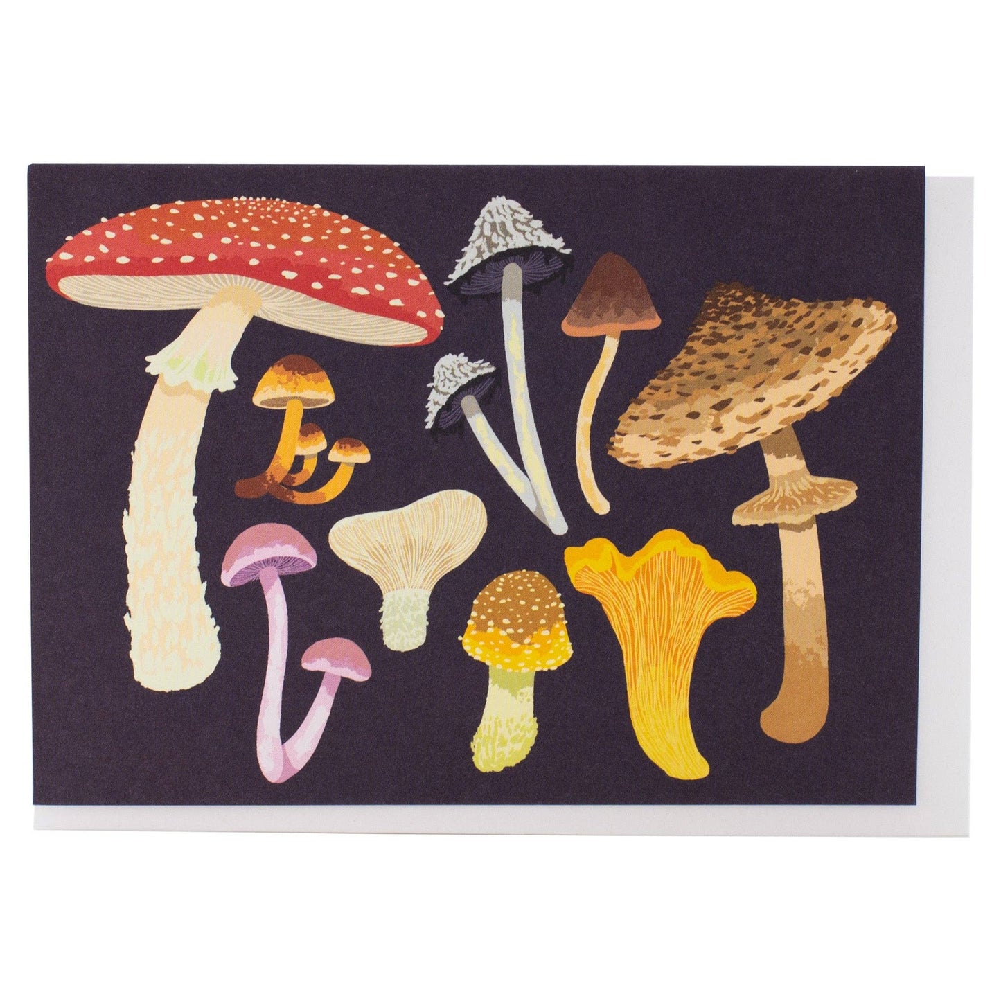 Smudge Ink - Foraging Note Card Set