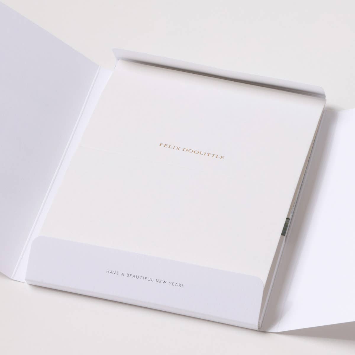 Felix Doolittle - 2027 Desk Calendar - Drawn to Nature
