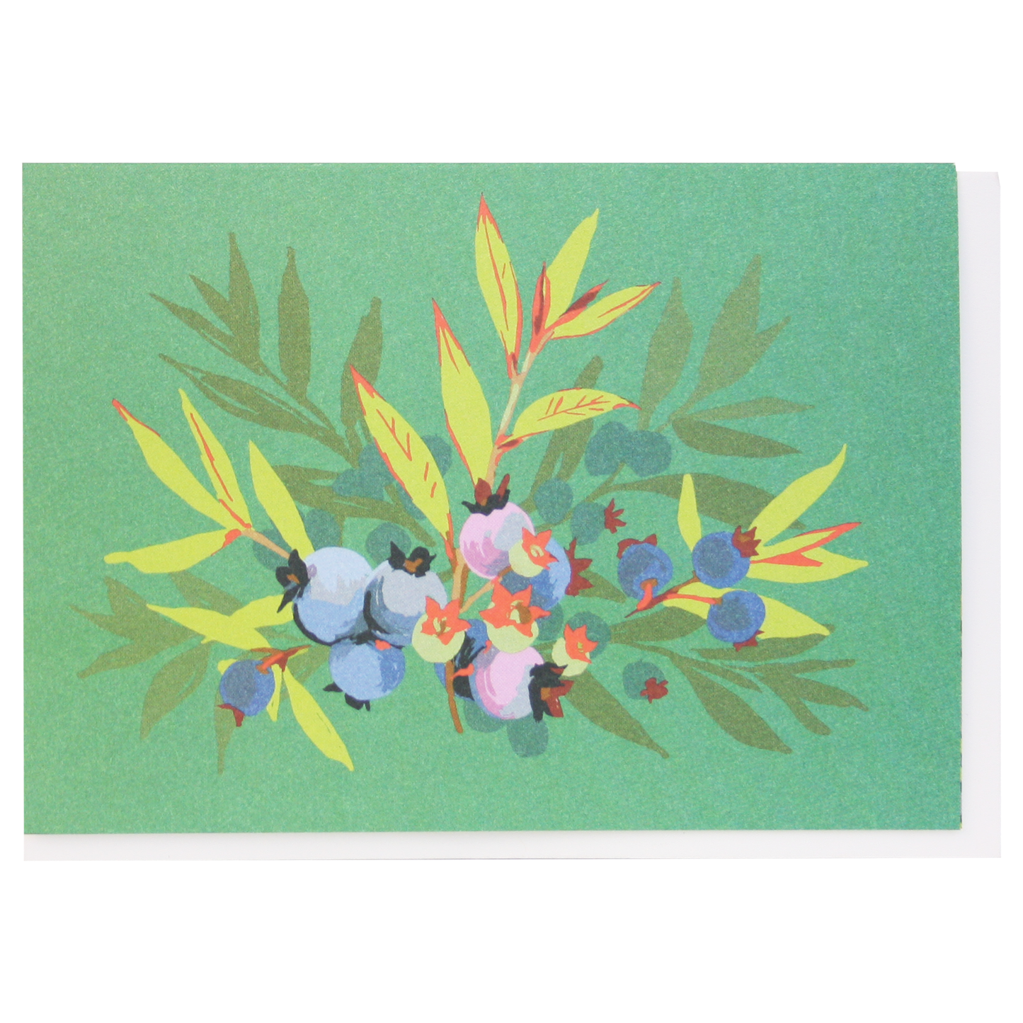 Smudge Ink - Foraging Note Card Set