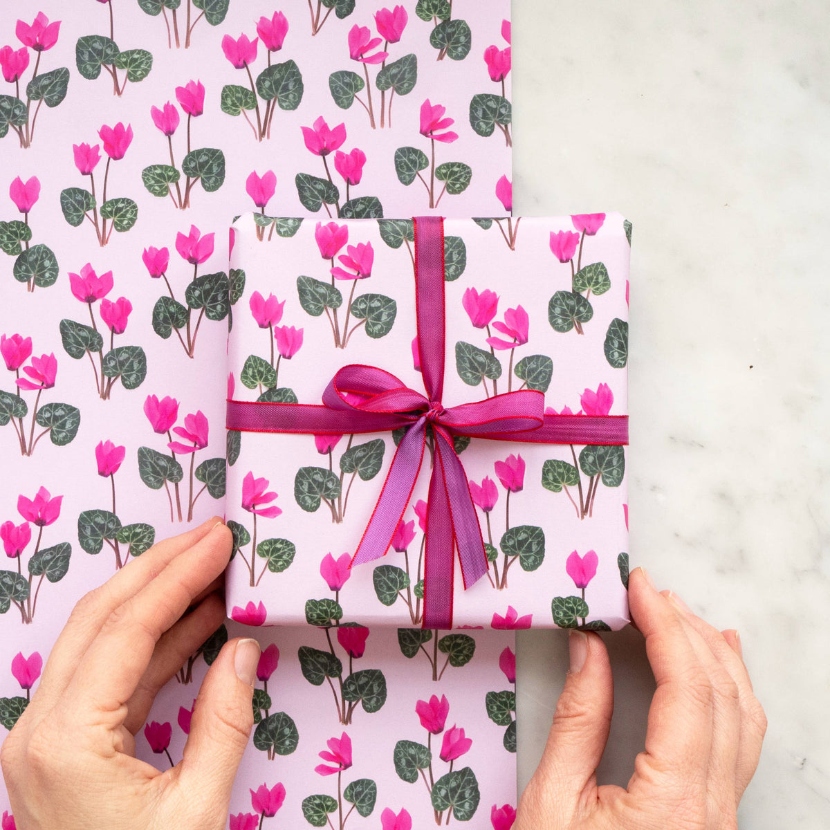 Bottle Branch - Gift Wrap - pink cyclamen