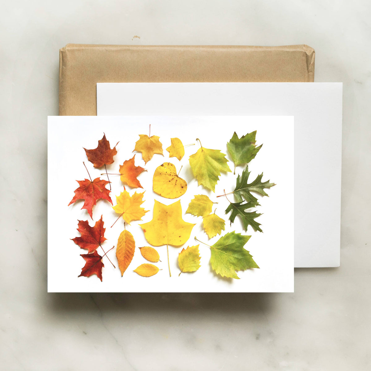 Bottle Branch - Card - Autumn Leaf ombre card