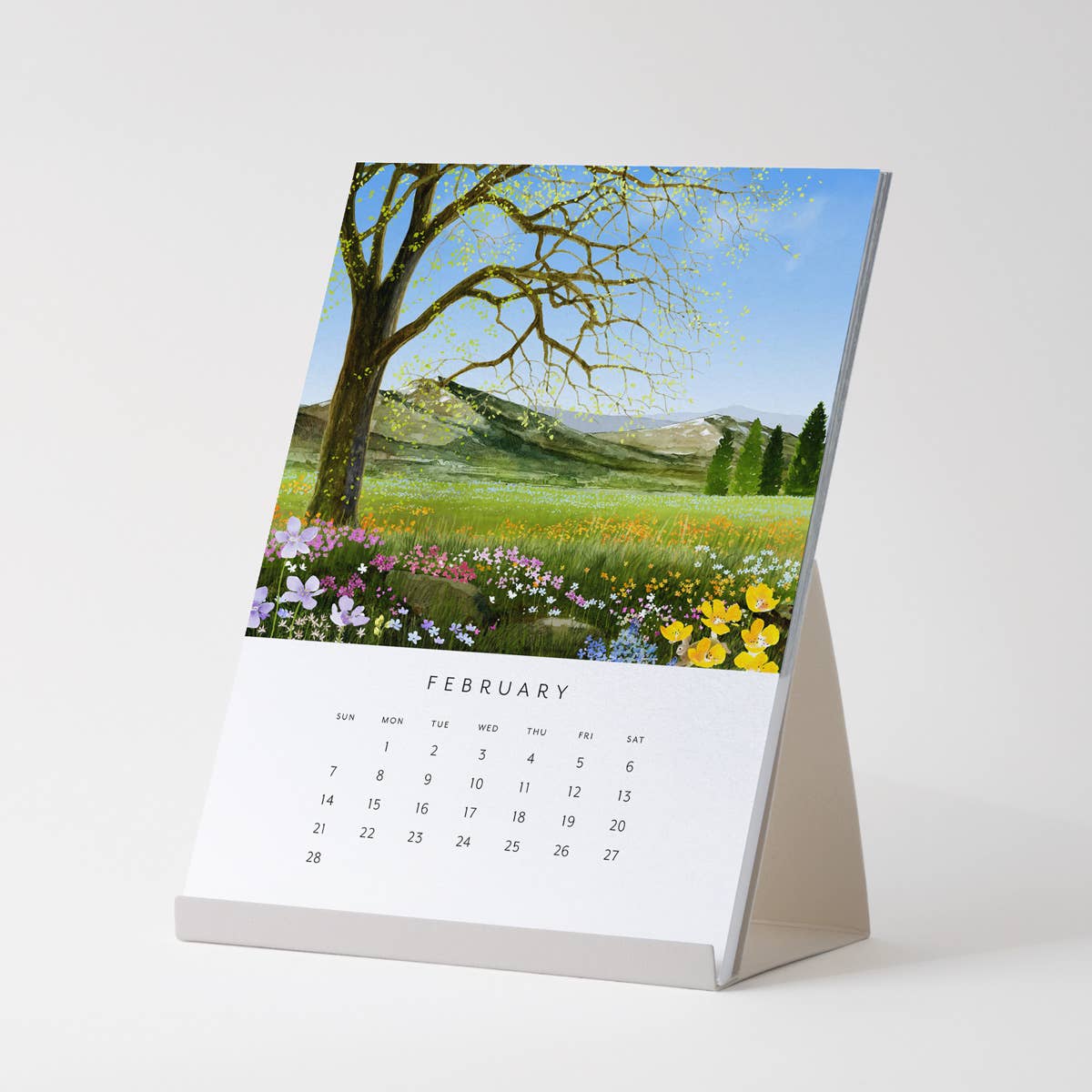 Felix Doolittle - 2027 Desk Calendar - Drawn to Nature