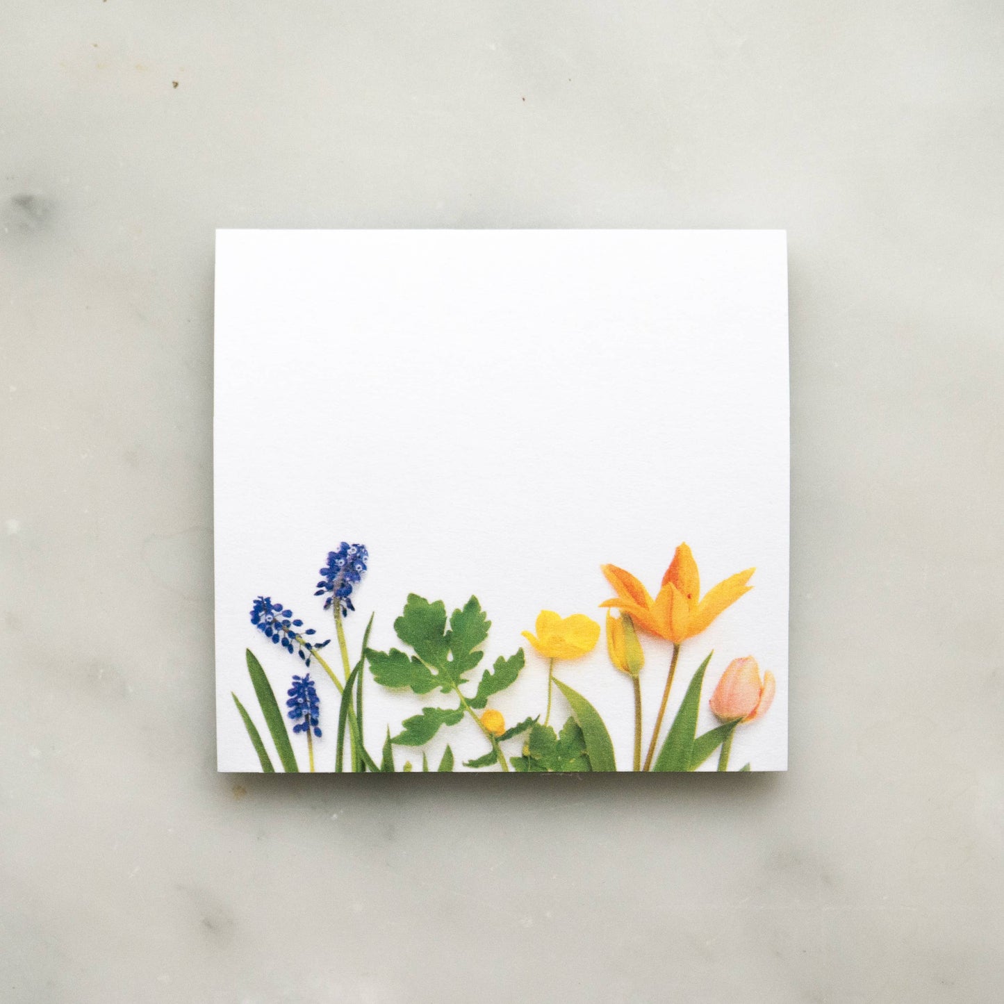 Bottle Branch - Sticky Notes - Orange tulip
