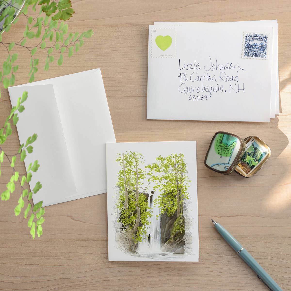 Felix Doolittle - Taking Root - New Home Greeting Cards - Tree
