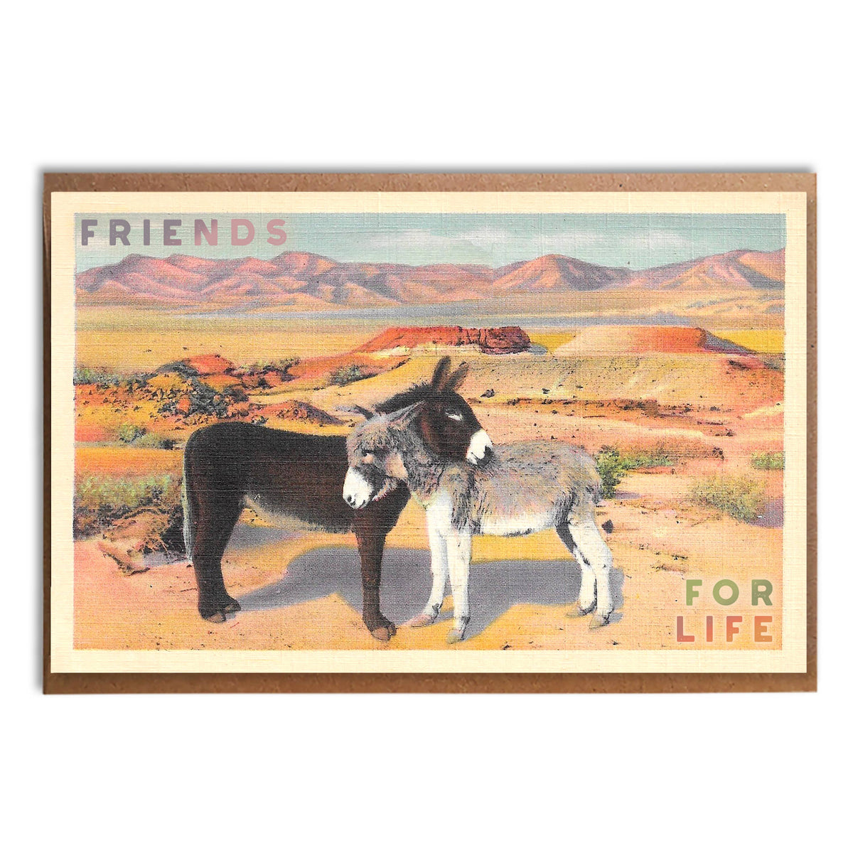 A Zillion Dollars - Friends For Life: Sweet Vintage Donkeys in the Desert Card