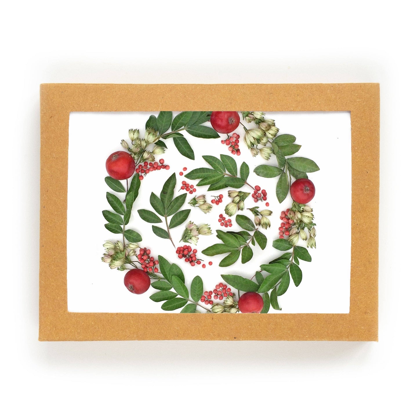 Bottle Branch - Card set - Holiday Swirl
