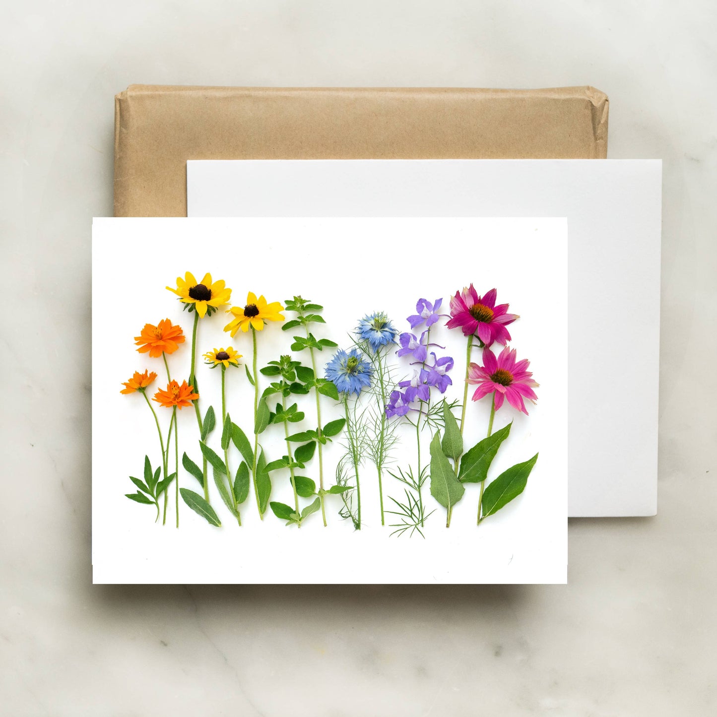 Bottle Branch - Card - Rainbow with coneflower