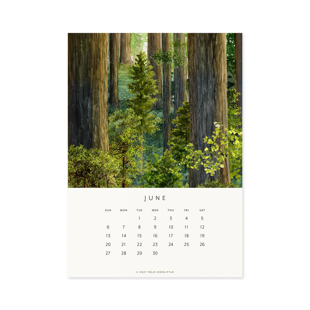 Felix Doolittle - 2027 Desk Calendar - Drawn to Nature