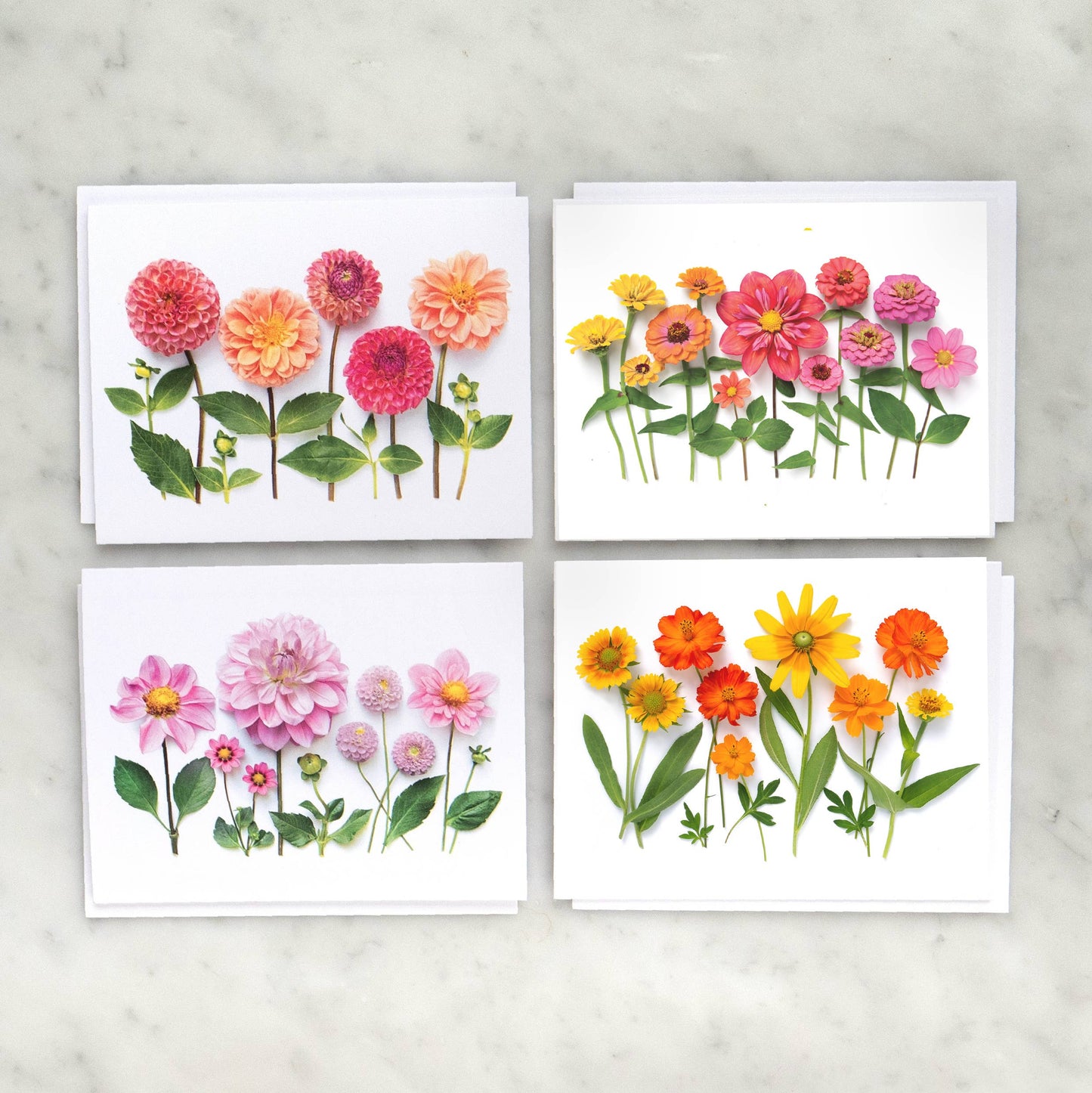 Bottle Branch - Dahlias Floral Card Set – Botanical A2 Cards (8-Pack)