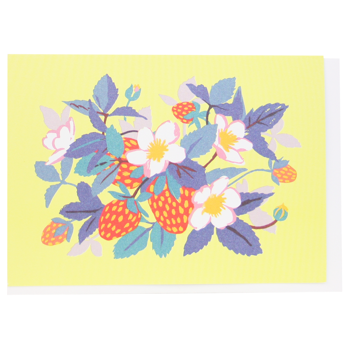 Smudge Ink - Foraging Note Card Set